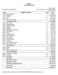 Western Medicine Project Budget Image